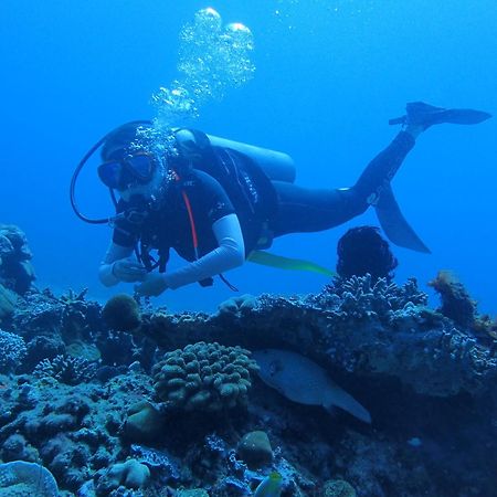 East Lombok Dive Hotel - 3 Private Rooms On The Beach With Seaview & Scuba Diving Center Labuhan Pandan Exterior photo