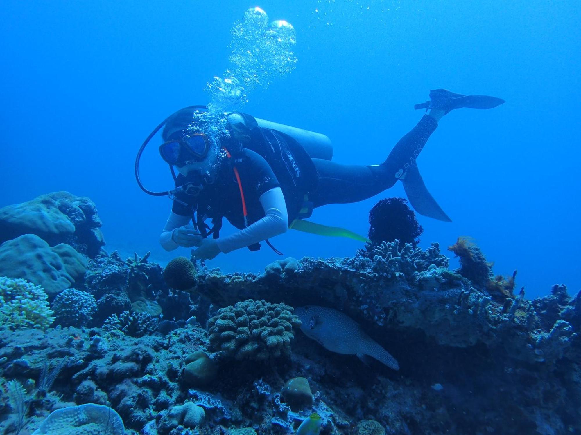 East Lombok Dive Hotel - 3 Private Rooms On The Beach With Seaview & Scuba Diving Center Labuhan Pandan Exterior photo